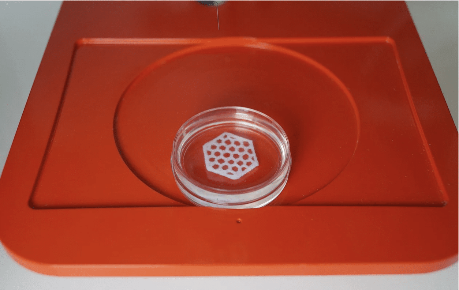 imitating nature - honeycomb bioprinted