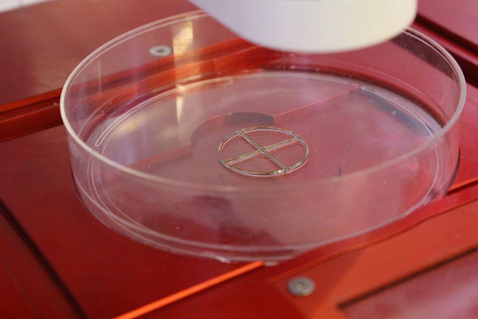 quickstart guide: allevi 3 - test bioprint