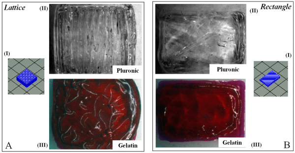 lattice vs sheet cardiac tissue 3d bioprinting allevi