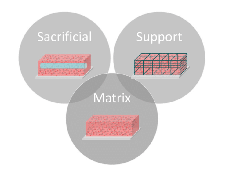 matrix bioink categories ECM