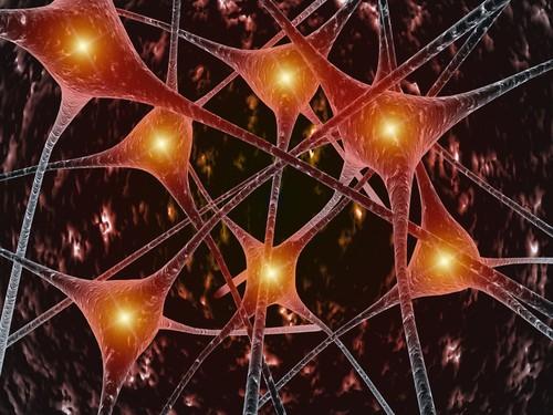 neuron neuronal allevi 3d bioprinter bioprint.jpg