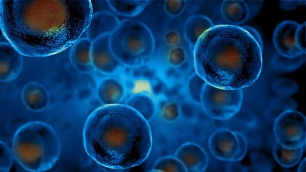 stem cells allevi bioprinting bioprinted