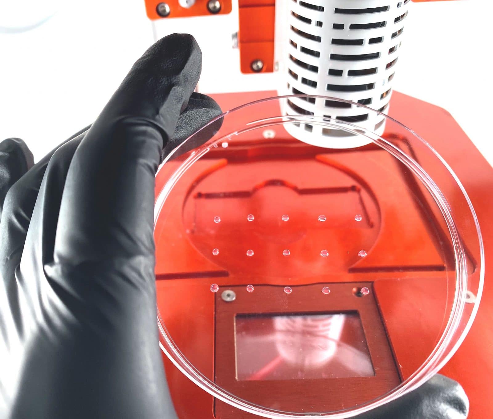 bioprinting Corning matrigel on Allevi bioprinter